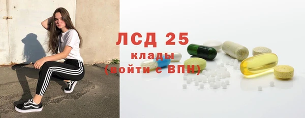 прущие грибы Балахна