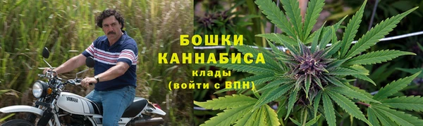 прущие крисы Сосновый Бор